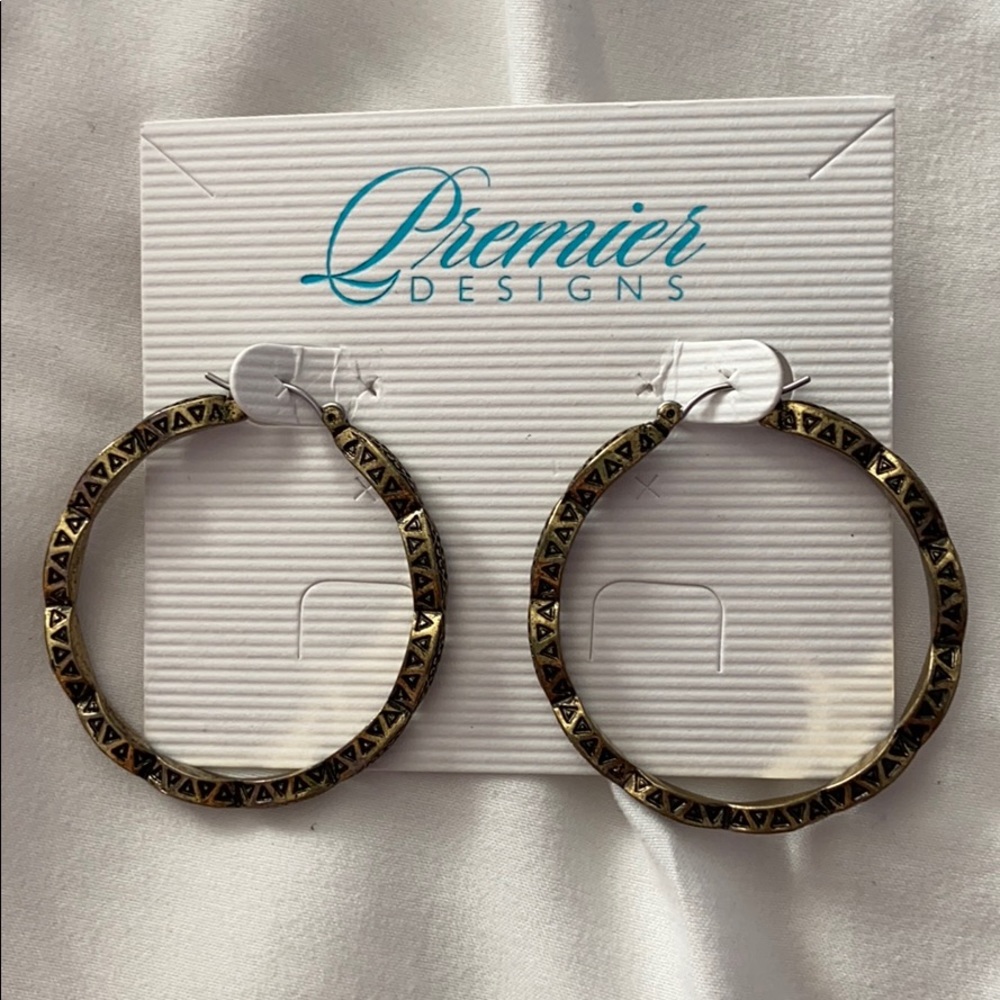 Hoop Earrings by Premier Designs NEW with box